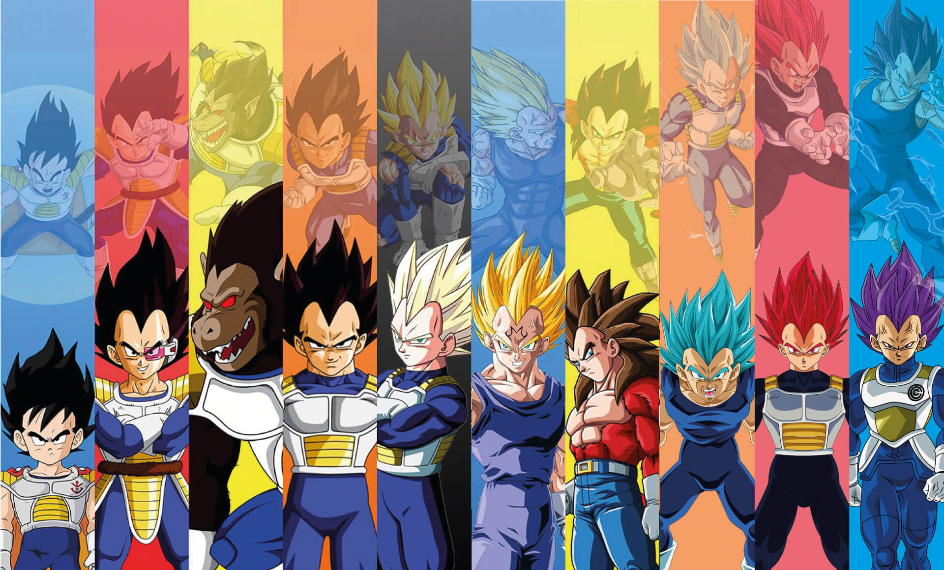 Transformaciones Vegeta