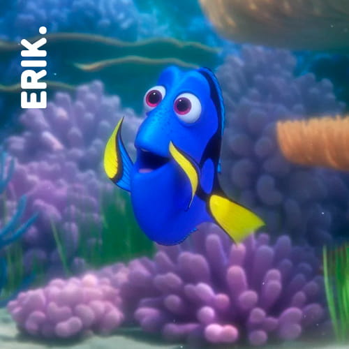 Dory Dory